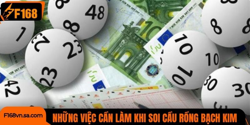 Những việc cần làm khi soi cầu Rồng Bạch Kim