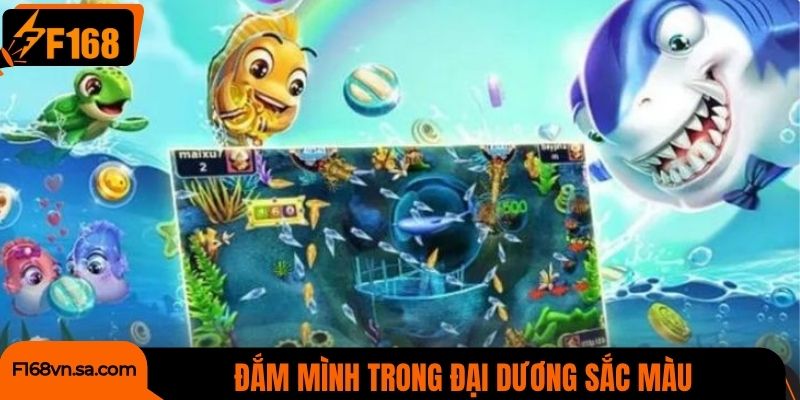 Đắm mình trong đại dương sắc màu và phần thưởng lớn