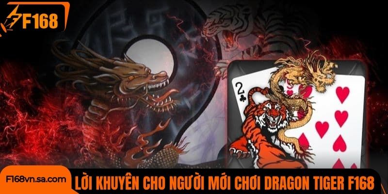 Lời khuyên hữu ích cho người mới chơi Dragon Tiger F168