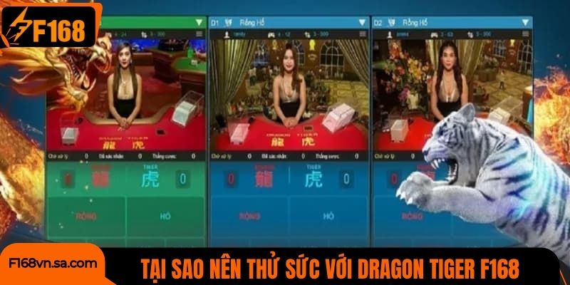 Tại sao người chơi nên thử sức với Dragon Tiger F168