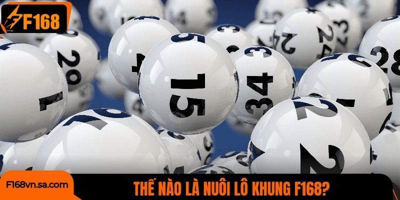 Thế nào là nuôi lô khung F168?